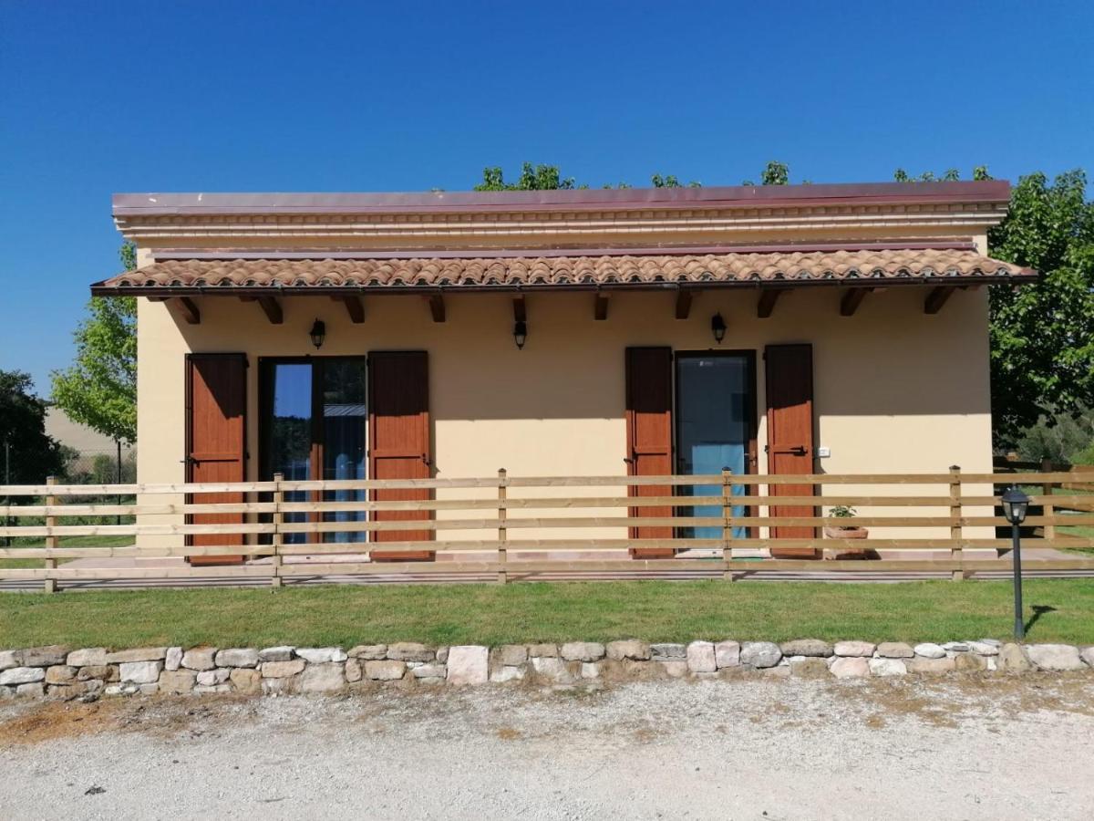 Villa Il Piccolo Uliveto Del Conero à Camerano Extérieur photo